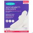Sie sehen eine Packung Lansinoh Wochenbetteinlagen 0-2 Wochen L 10st, Produktbild: 04 Lansinoh Wochenbetteinlagen 0-2 Wochen L 10st, A-Nr.: 5758664 - 04