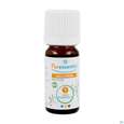 Aetherische Oele Puressentiel/bio Wintergruen 10ml, A-Nr.: 4934136 - 04