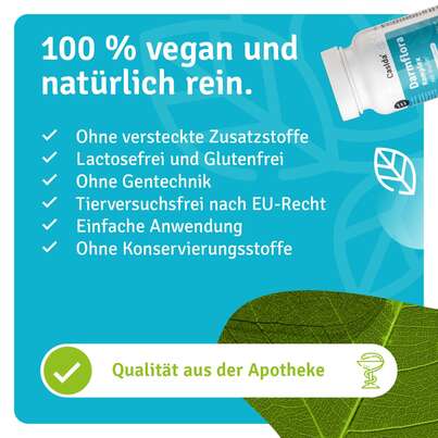 Darmflora Komplex mit Inulin, A-Nr.: 5820825 - 04