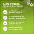 Darmflora Komplex mit Inulin, A-Nr.: 5820825 - 06
