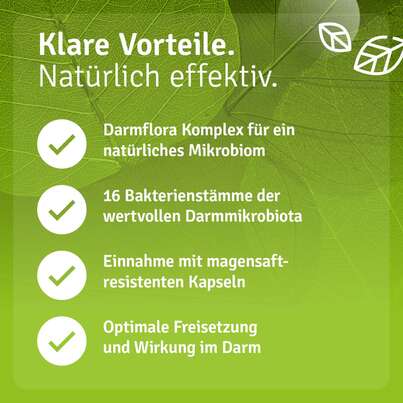 Darmflora Komplex mit Inulin, A-Nr.: 5820825 - 06