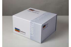 Sie sehen eine Packung LAMPEL PFLASTER-SET, Produktbild: 01 LAMPEL PFLASTER-SET, A-Nr.: 5635855 - 01