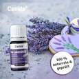 Sie sehen eine Packung Bio Lavendelöl – Zum Verzehr, Produktbild: 05 Bio Lavendelöl – Zum Verzehr, A-Nr.: 5898885 - 05