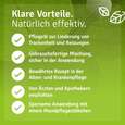 Sie sehen eine Packung Mund-Gesund Aromapflege Öl, Produktbild: 05 Mund-Gesund Aromapflege Öl, A-Nr.: 5758144 - 05