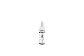 Sie sehen eine Packung STEINMANDL VITAMIN D 1000 FLÜSSIG 30ML, Produktbild: 01 STEINMANDL VITAMIN D 1000 FLÜSSIG 30ML, A-Nr.: 5962577 - 01