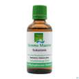 Gemmo Mazerat Esskastanie Castanea Sativa Phytopharma 50ml, A-Nr.: 3107158 - 02