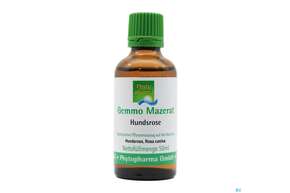 Gemmo Mazerat Hundsrose Rosa Canina Phytopharma 50ml, A-Nr.: 3107106 - 01