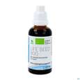 Grapefruit Bio Extrakt Life Seed Fluessig 50ml, A-Nr.: 3893808 - 04