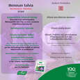 Sie sehen eine Packung A.Vogel Menosan Salvia, Produktbild: 05 A.Vogel Menosan Salvia, A-Nr.: 4296256 - 05