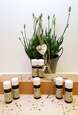 Bio Ätherisches Teebaumöl 10ml, A-Nr.: 8028222 - 02