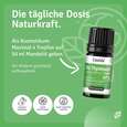 Bio Thymianöl linalool, A-Nr.: 5955554 - 04