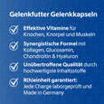 R(h)ein Nutrition Gelenkfutter Komplex Gelenkkapseln, A-Nr.: 5987169 - 03