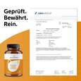 Sie sehen eine Packung R(h)ein Nutrition Kurkuma 95 % Curcumin + Piperin + Vitamin C Kapseln, Produktbild: 07 R(h)ein Nutrition Kurkuma 95 % Curcumin + Piperin + Vitamin C Kapseln, A-Nr.: 5987175 - 07