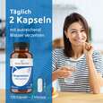 R(h)ein Nutrition Magnesium 400 mg Extra Kapseln hochdosiert, A-Nr.: 5987198 - 04