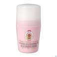 Roger&amp;gallet Gingembre Rouge Deodorant 50ml, A-Nr.: 4590234 - 04