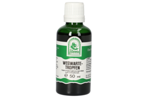 Sie sehen eine Packung WEGWARTE TROPFEN 50 ML, Produktbild: 01 WEGWARTE TROPFEN 50 ML, A-Nr.: 4402994 - 01