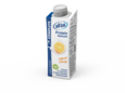 all in® COMPLETE Joghurt Orange (14 x 250 ml), A-Nr.: 4907292 - 01