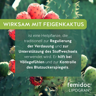 Sie sehen eine Packung femidoc® LIPOGRAN®, Produktbild: 06 femidoc® LIPOGRAN®, A-Nr.: 5858207 - 06