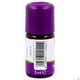 Taoasis Schlaf Gut Kids Duftkomposition Bio 5ml, A-Nr.: 5908626 - 02