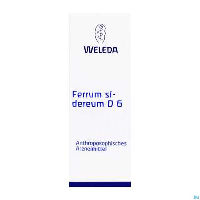 Sie sehen eine Packung Ferrum Sidereum -weleda Trituration D 6 20g, Produktbild: 01 Ferrum Sidereum -weleda Trituration D 6 20g, A-Nr.: 0651335 - 01