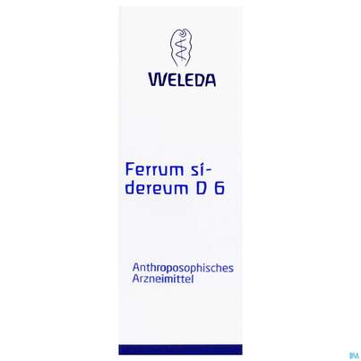 Sie sehen eine Packung Ferrum Sidereum -weleda Trituration D 6 20g, Produktbild: 02 Ferrum Sidereum -weleda Trituration D 6 20g, A-Nr.: 0651335 - 02