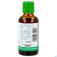 Bittergurke Tinktur Phytopharma 50ml, A-Nr.: 3451275 - 04