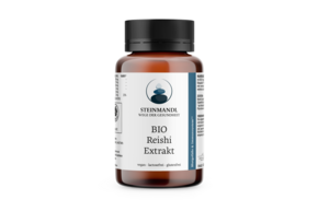 Steinmandl BIO Reishi Extrakt, A-Nr.: 6006044 - 01