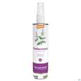 Sie sehen eine Packung Taoasis Hydrolat Pfefferminze Demeter Deutschland 50ml, Produktbild: 02 Taoasis Hydrolat Pfefferminze Demeter Deutschland 50ml, A-Nr.: 5998865 - 02