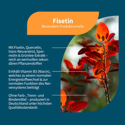 NatuGena Fisetin Kapseln, A-Nr.: 6011950 - 02
