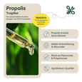 Sie sehen eine Packung Propolis Tropfen, Produktbild: 02 Propolis Tropfen, A-Nr.: 6022712 - 02