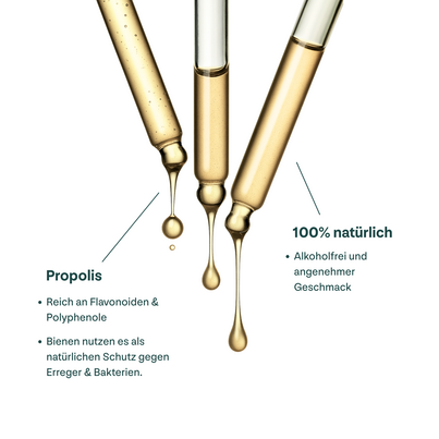 Sie sehen eine Packung Propolis Tropfen, Produktbild: 04 Propolis Tropfen, A-Nr.: 6022712 - 04