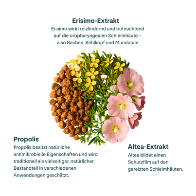 Propolis Halsspray+, A-Nr.: 6022698 - 06
