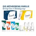 ARTHROBENE® Schmerz &amp; Arthritis Gel, A-Nr.: 6010494 - 02