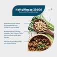 NatuGena NattoKinase 2000 Kapseln, A-Nr.: 5699453 - 02