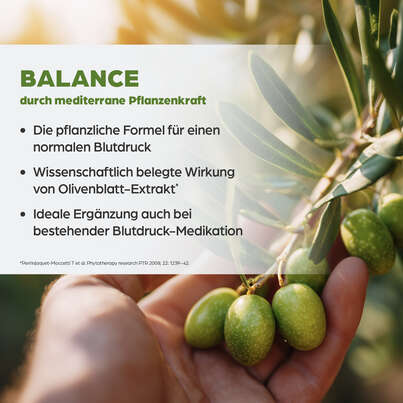 Dr. Böhm Blutdruckformel, A-Nr.: 5607965 - 03