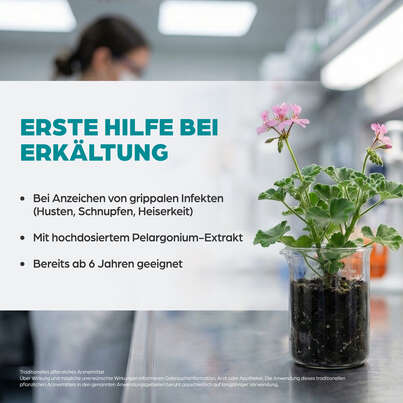 Dr. Böhm Infekt grippal Pelargonium, A-Nr.: 4987888 - 03