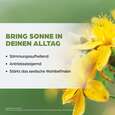 Dr. Böhm Johanniskraut, A-Nr.: 2426849 - 03
