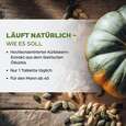 Dr. Böhm Kürbis nur 1 Tablette täglich, A-Nr.: 2552459 - 03