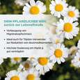 Dr. Böhm® Mutterkraut forte 200 mg, A-Nr.: 5521488 - 03
