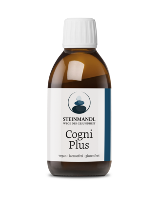 Steinmandl CogniPlus, A-Nr.: 6039641 - 01