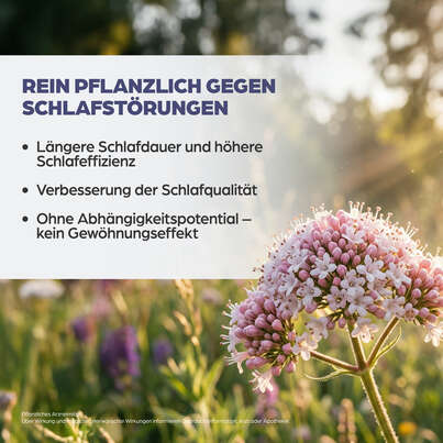 Sie sehen eine Packung Dr. Böhm® Baldrian, Produktbild: 08 Dr. Böhm® Baldrian, A-Nr.: 6057432 - 08