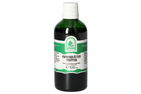 PAPAYABLÄTTER TROPFEN 100 ML, A-Nr.: 5832403 - 01