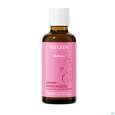 Sie sehen eine Packung Weleda Damm-massageoel 50ml, Produktbild: 08 Weleda Damm-massageoel 50ml, A-Nr.: 2572870 - 08