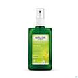 Sie sehen eine Packung Weleda Citrus 24h Deo Spray 100ml, Produktbild: 08 Weleda Citrus 24h Deo Spray 100ml, A-Nr.: 1132034 - 08