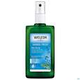 Sie sehen eine Packung Weleda Herbal Fresh Deo Spray Salbei Nf 200ml, Produktbild: 07 Weleda Herbal Fresh Deo Spray Salbei Nf 200ml, A-Nr.: 2315096 - 07