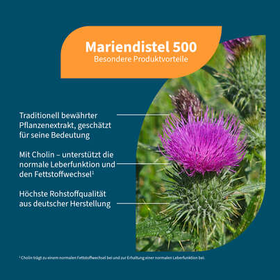 NatuGena Mariendistel 500, A-Nr.: 6110379 - 02