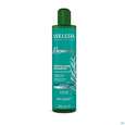 Sie sehen eine Packung Shampoon Weleda Rosmarin Revitalizing 250ml, Produktbild: 03 Shampoon Weleda Rosmarin Revitalizing 250ml, A-Nr.: 5911083 - 03