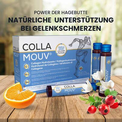 Sie sehen eine Packung CollaMouv® Original, Produktbild: 04 CollaMouv® Original, A-Nr.: 6118085 - 04
