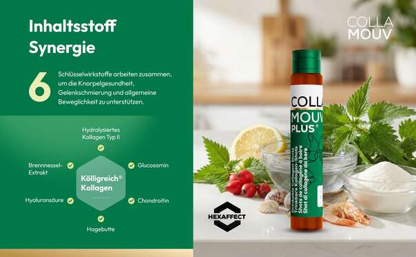 CollaMouv Plus®, A-Nr.: 6118079 - 05