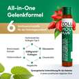CollaMouv Plus®, A-Nr.: 6118091 - 04
